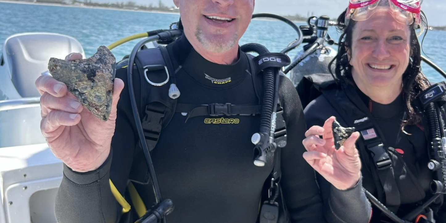First Time Diving For Sharks Teeth? – What To Expect With Top2Bottom ...